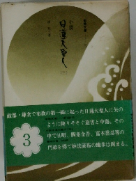 小説日大聖人　3