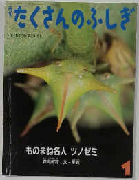 たくさんのふしぎ 1