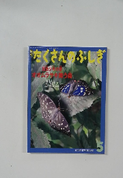 たくさんのふしぎ 5