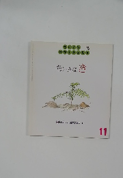 ちぃさなき