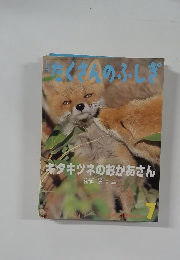 キタキツネのおかあさん