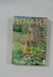 月刊たくさんのふしぎ　2011年5月