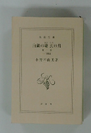 白銀の墟玄の月2