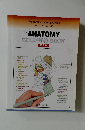 The ANATOMY COLORING BOOK