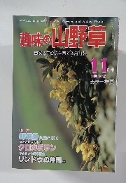 趣味の山野草　11月1981No.16