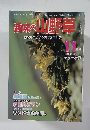 趣味の山野草　11月1981No.16