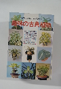 趣味の古典植物