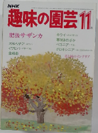 趣味の園芸　11月