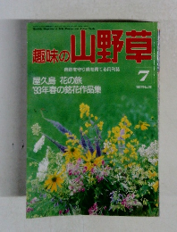 趣味の山野草　1993年7月号　No.156