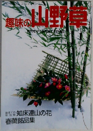 趣味の山野草