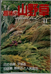 趣味の山野草　1993年11月
