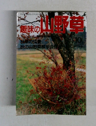 趣味の山野草　1983年10月