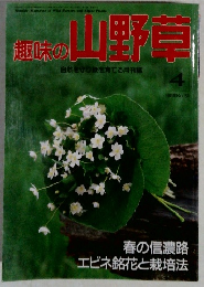 趣味の山野草　1993年4月　No.153