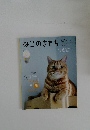 ねこのきもち　2024年3月号　Vol.226