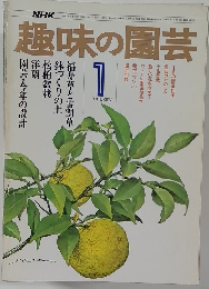 趣味の園芸　1977年1月号