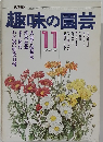 趣味の園芸　11月