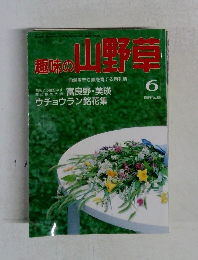趣味の山野草　6