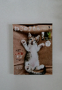 ねこのきもち　1　vol. 224