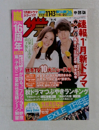 The Television　2015年 No.45