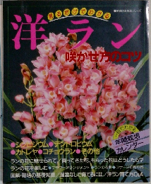 主婦の友生活シリーズ　洋ラン　咲かせたのコツ