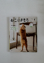 ねこのきもち　8