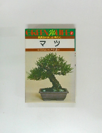 GREEN LIFE 2 マツ