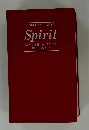 Spirit ENGLISH-JAPANESE  DICTIONARY