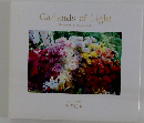 Garlands of Light