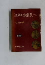 江戸から東京へ 　
