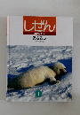 しぜん 1　あざらし