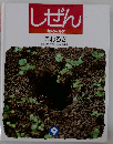 しぜん　9　こおろぎ