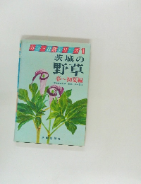 茨城の野草  春~初夏編