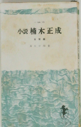 小説楠木正成