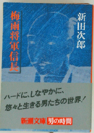 梅雨将軍信長