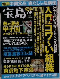 宝島 2013-5