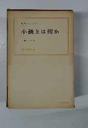 小説とは何か