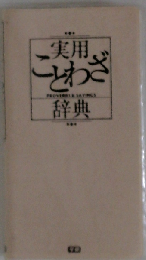 実用ことわざ辞典