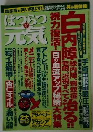 はつらつ元気 2012年 06月号 [雑誌]