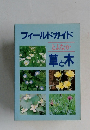 フィールドガイド  とよなか  草と木