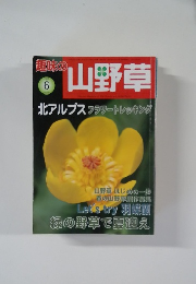 趣味の山野草　2009年6月号