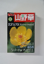 趣味の山野草　2009年6月号