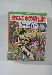 きのこ・木の実・山菜カラー百科