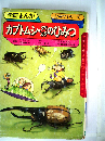 カブトムシ クワガタひみつ