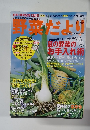 野菜だより　2011年7月号