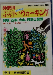 神奈川ぶらりいウォーキング