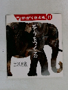 月刊  かがくのとも 11　ぞうをつくる