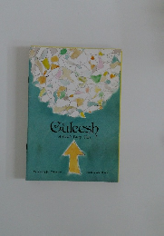 Guleesh A Celtic Fairy Tale