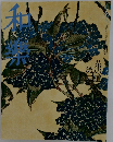和樂　2007年6月号