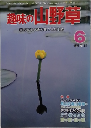 趣味の山野草　1981/6　No.11