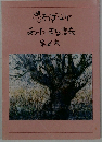 思わず心があったまる話　第6集